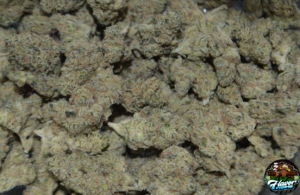 Sour Diesel Cannabis
