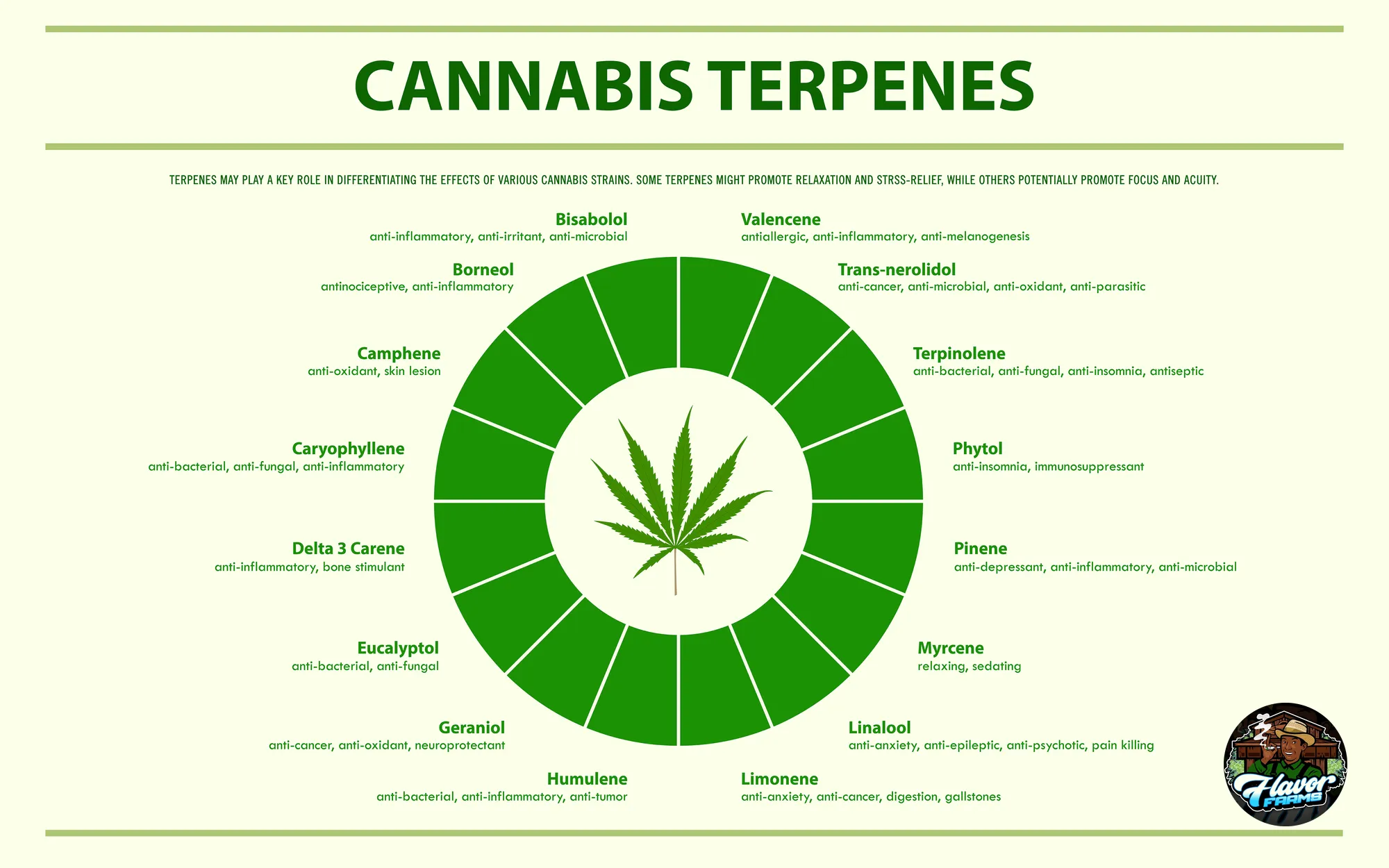 Cannabis Terpenes Benefits and Types - FLAVOR FARMS DC