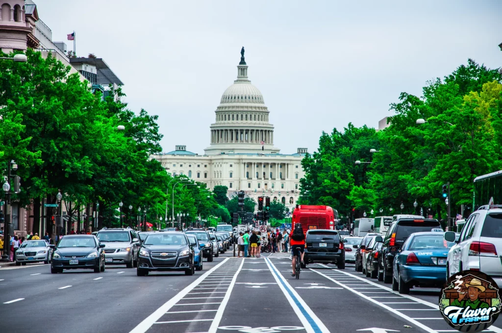 Navigating the legal landscape of cannabis in DC