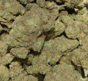 Brownie Scout Cannabis
