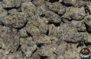 Gelato Cannabis Strain Profile
