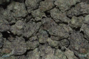 Platinum GSC Cannabis