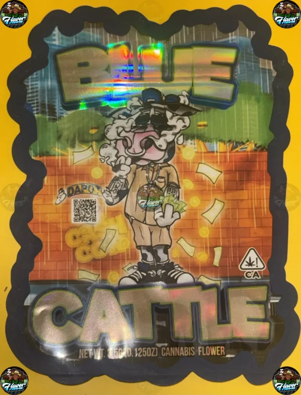 Blue Cattle