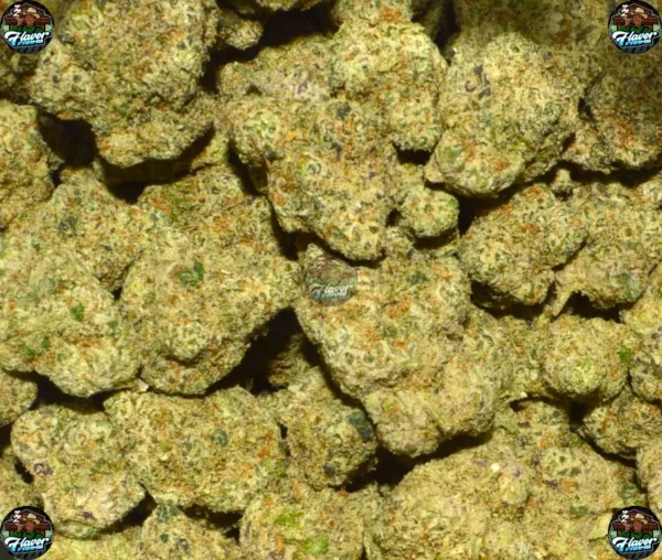 Pink Lemonade Cannabis