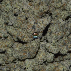 DANK INFERNO Cannabis