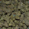 PLUSH POPS Cannabis