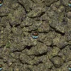Road Runner Cannabis