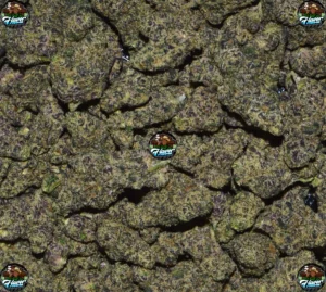 Road Runner Cannabis