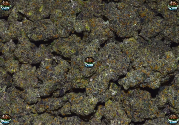 JAWBREAKER CANNABIS