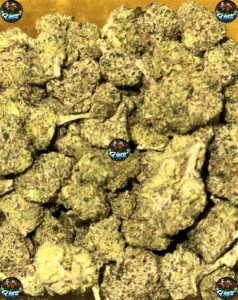 The Bada Cannabis