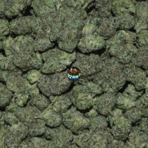 TK41 Cannabis