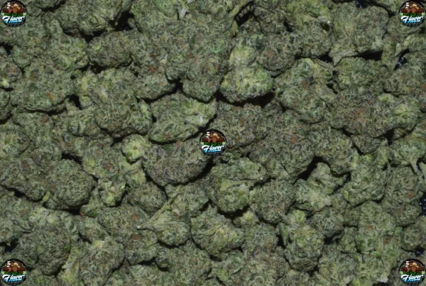 TK41 Cannabis in DC