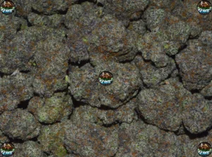 Pink Sherbert Cannabis