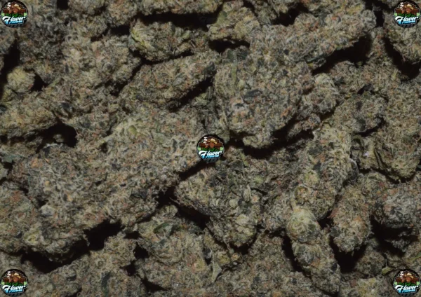 WONKA