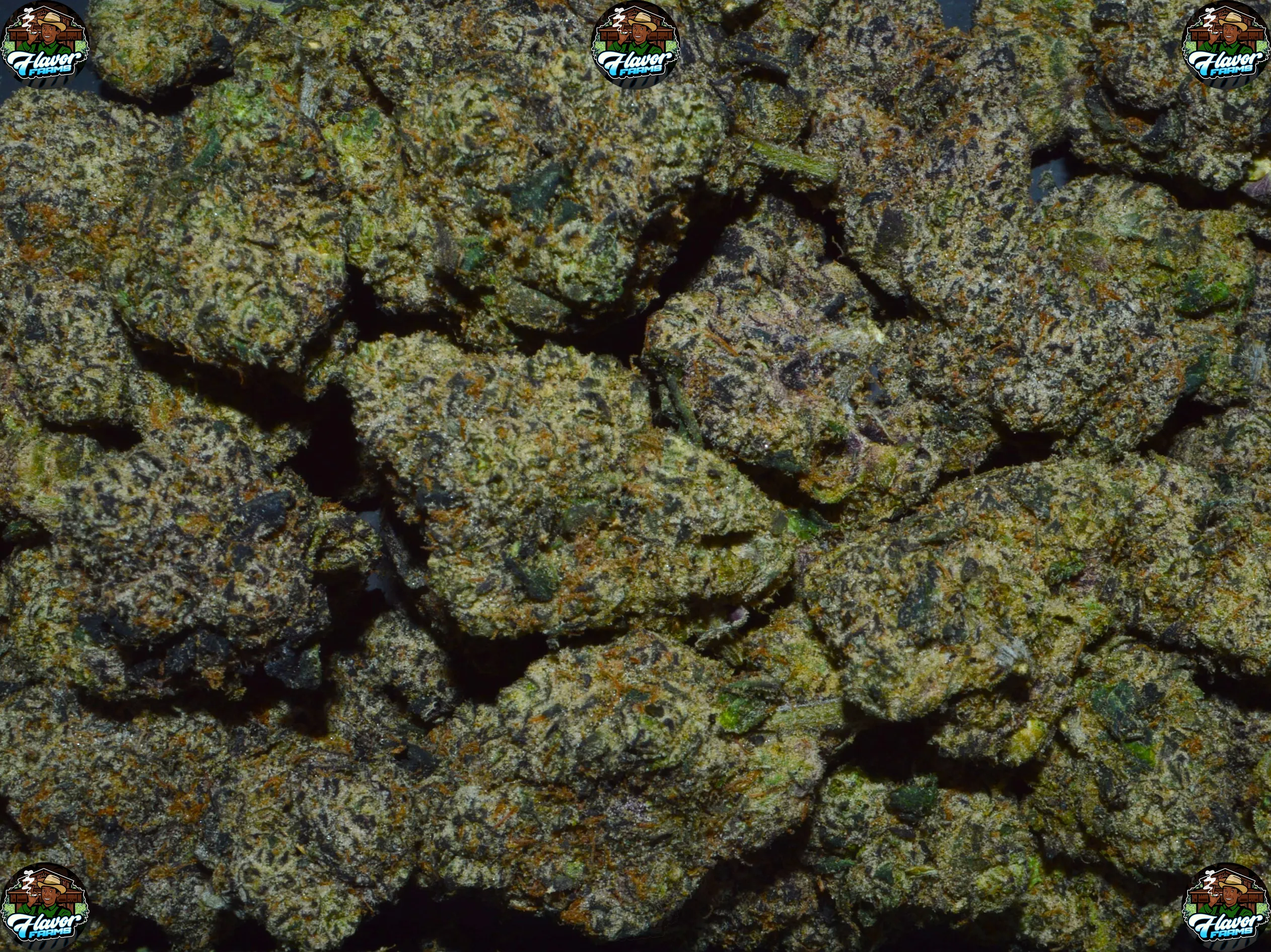 New Jack Gumbo CANNABIS