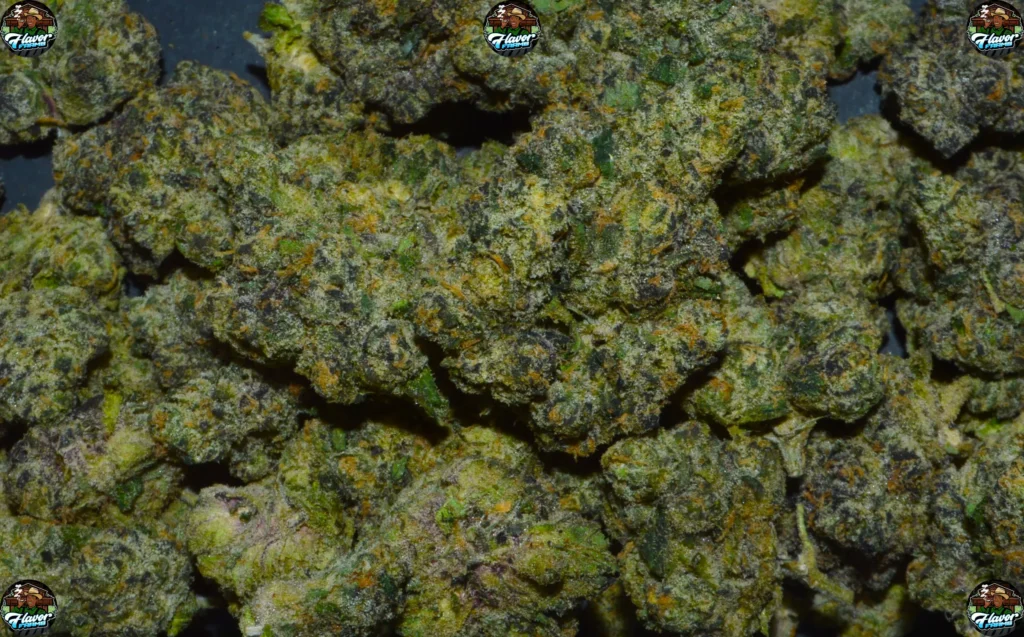 RAINBOW RUTNZ CANNABIS