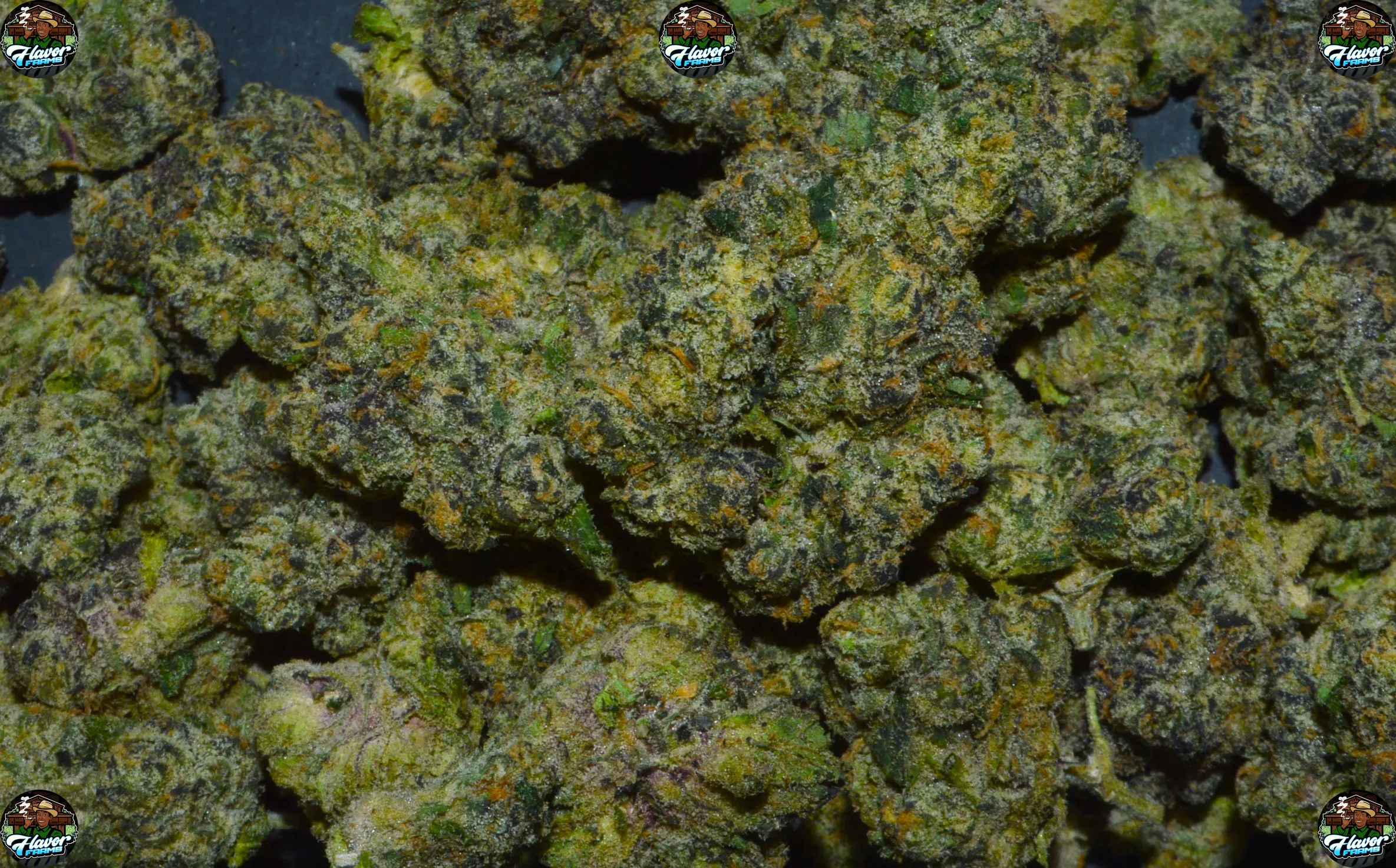 RAINBOW RUTNZ CANNABIS