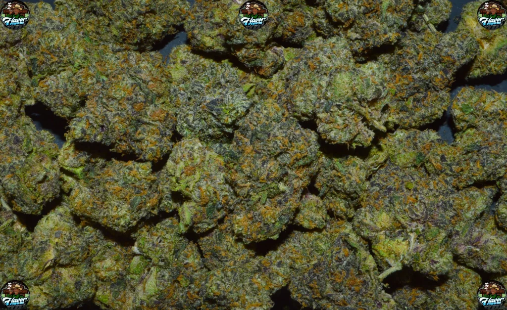 ZOAP CANNABIS