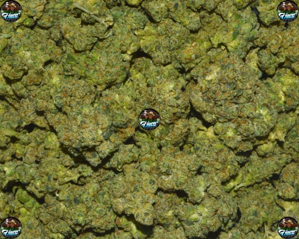 Black Tie weed