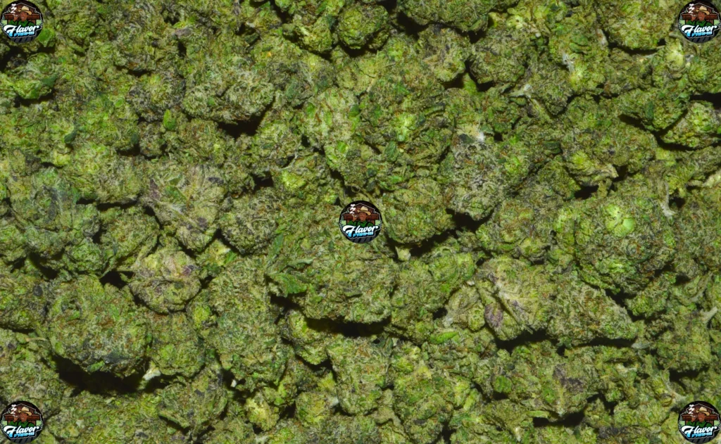 Dream Queen cannabis strain