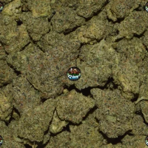 Super Diesel Cannabis