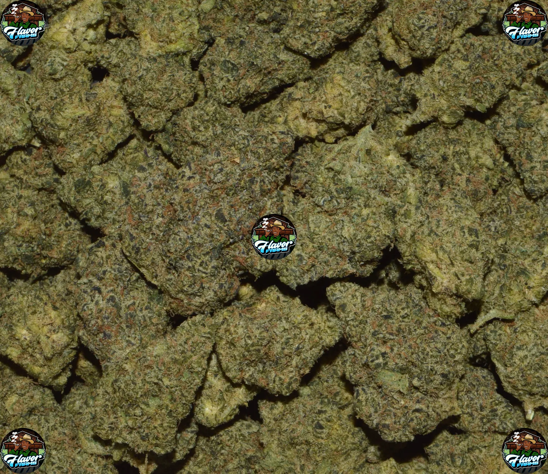 Super Diesel Cannabis