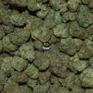 Diesel Donut cannabis