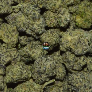 Swamp Water Fumez cannabis