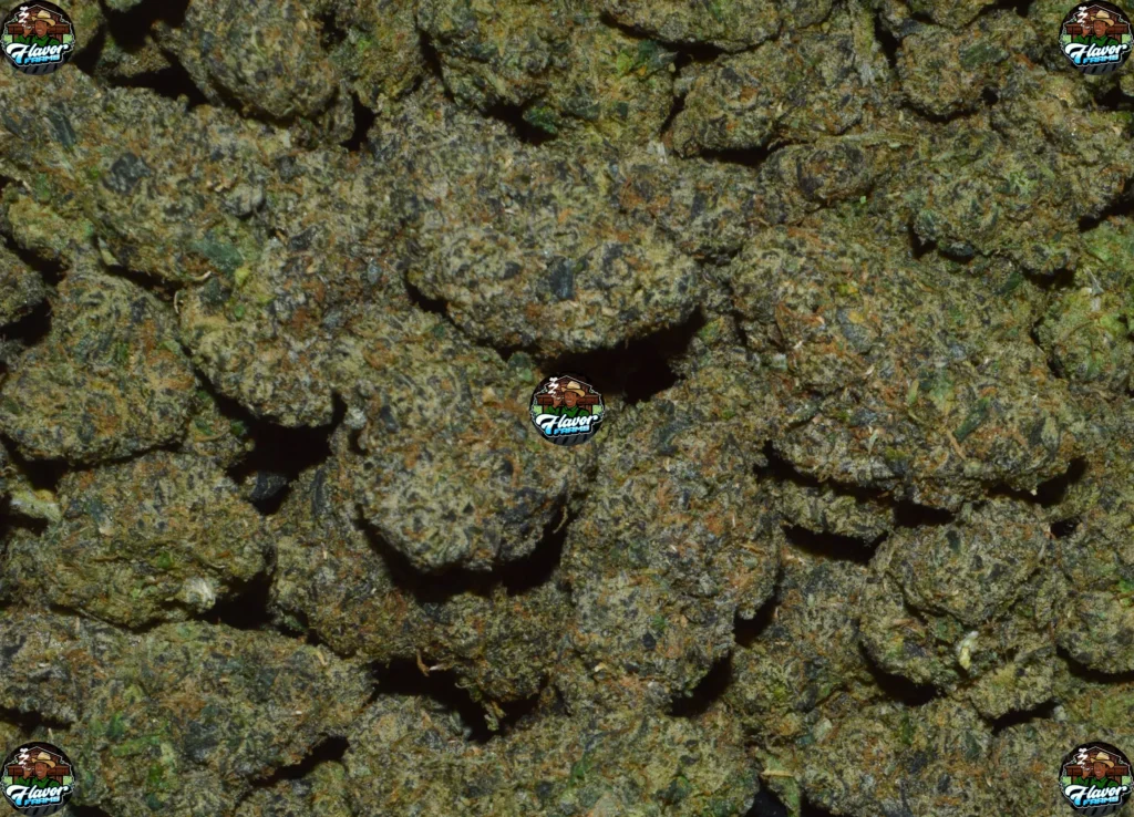 Moonshot Cannabis strain