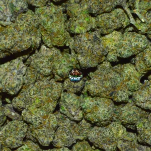 MIDNIGHT CHERRY CANNABIS