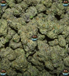 Black Cherry Gumbo CANNABIS