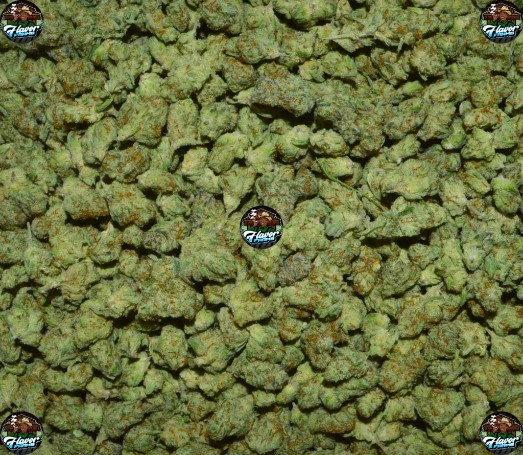 Blue Viper Cannabis Strain