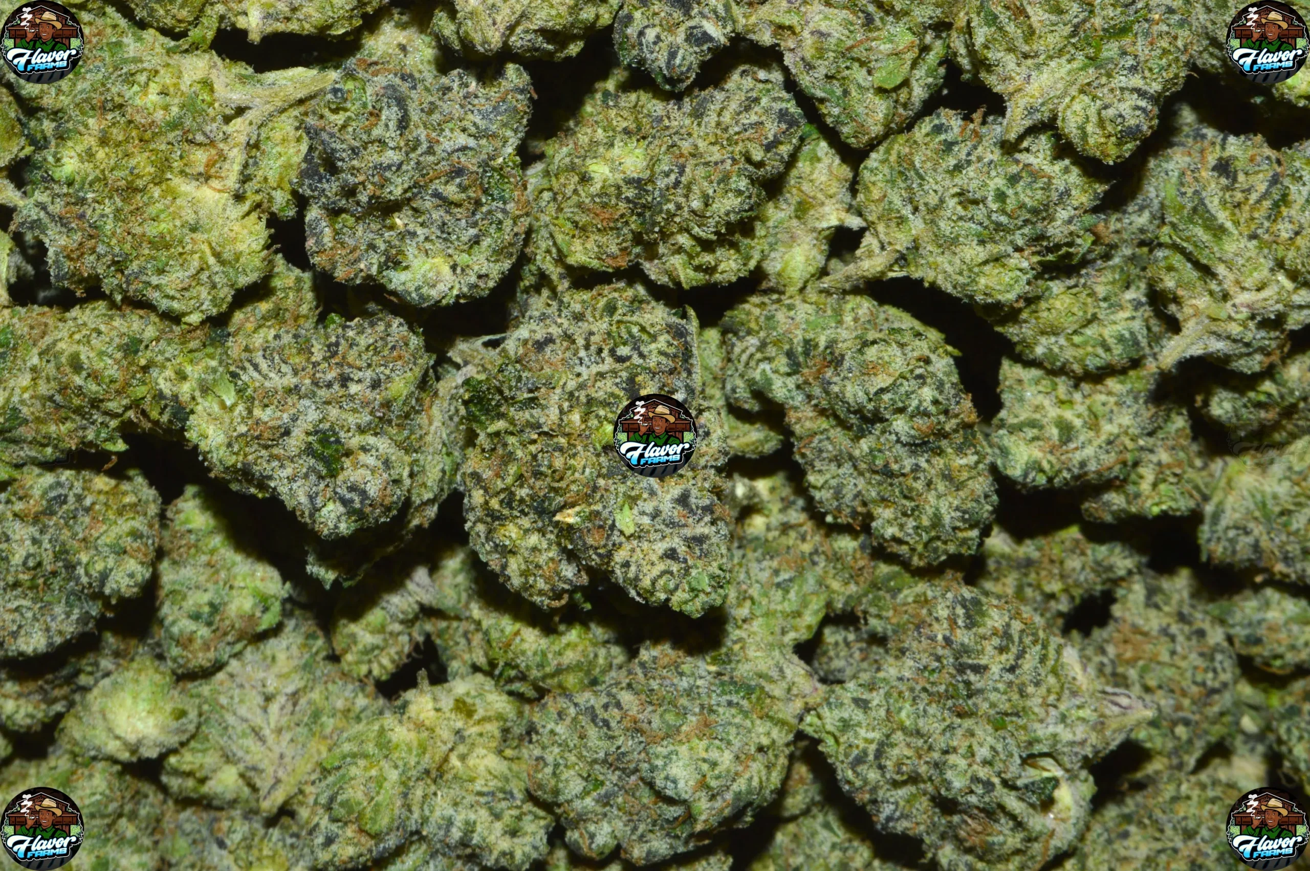 Black Mamba Cannabis