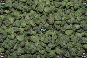 FROSTED SWIRL Cannabis