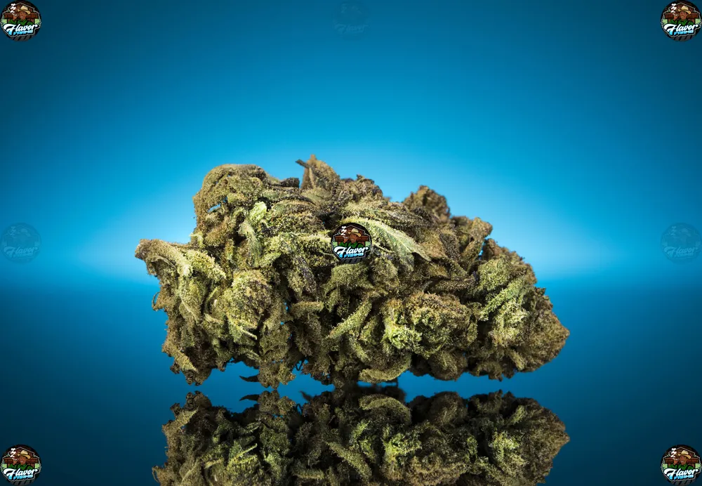 Indica vs Sativa Cannabis Strains