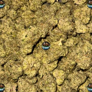 BLUEBERRY COFFIN CANNABIS