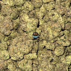 PURPLE SLUSHIE CANNABIS