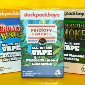 BACKPACKBOYZ ALL IN ONE VAPES 2G