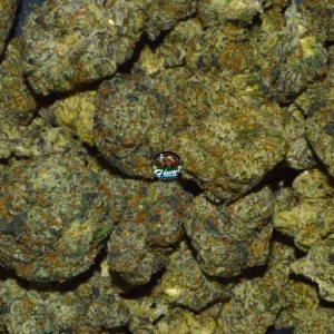 BIG TOAD CANNABIS STRAIN