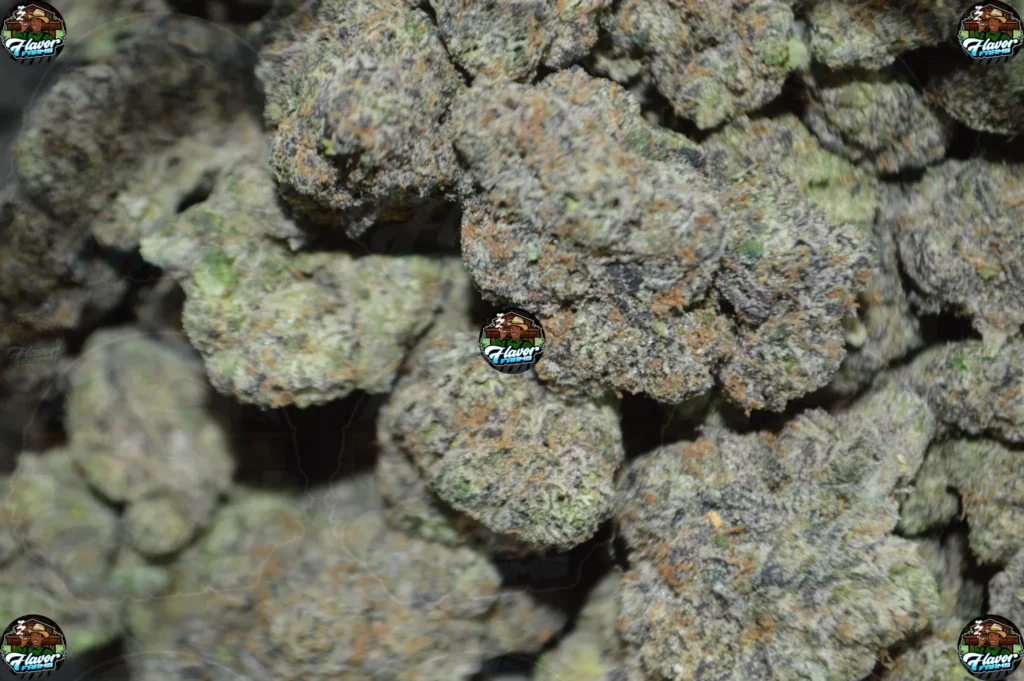 Gas Cream Cake Cannabis Strain