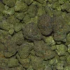 HYPER ZA Cannabis strain
